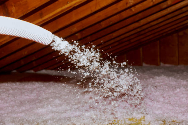 Best Eco-Friendly Insulation in Diamond Bar, CA