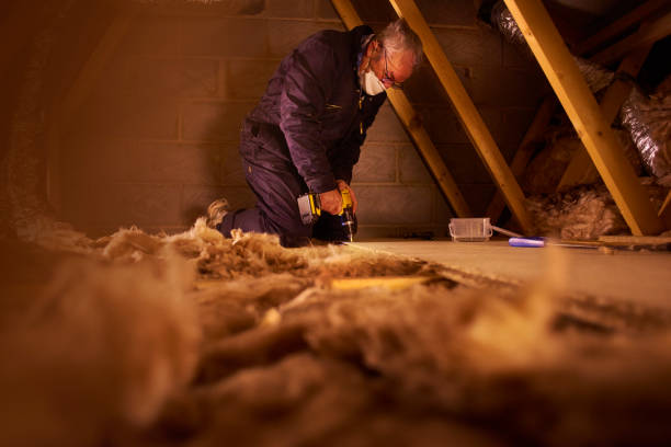 Best Blown-in Insulation in Diamond Bar, CA