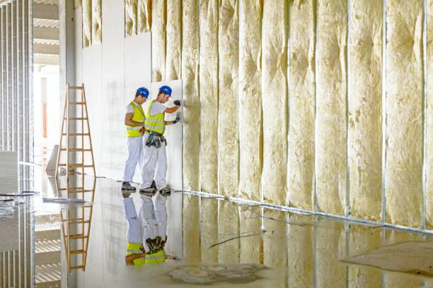 Types of Insulation We Offer in Diamond Bar, CA